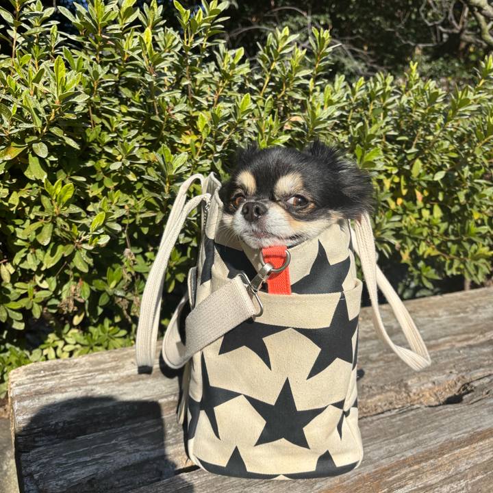 03faceca 242b 4051 a2b0 4e0bf449f5b5 1758858220113