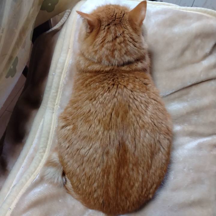 03faf03b 4809 4cdd b529 48c6ea4cd610 1706413356329