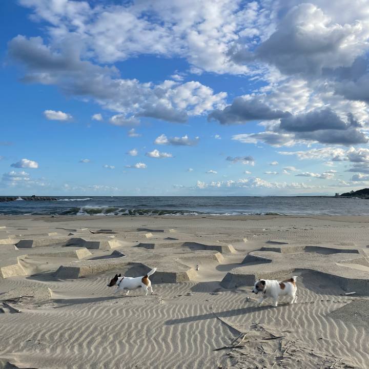 03fb44bf 09b3 4b20 a812 6e791a670a8c 1696204992305