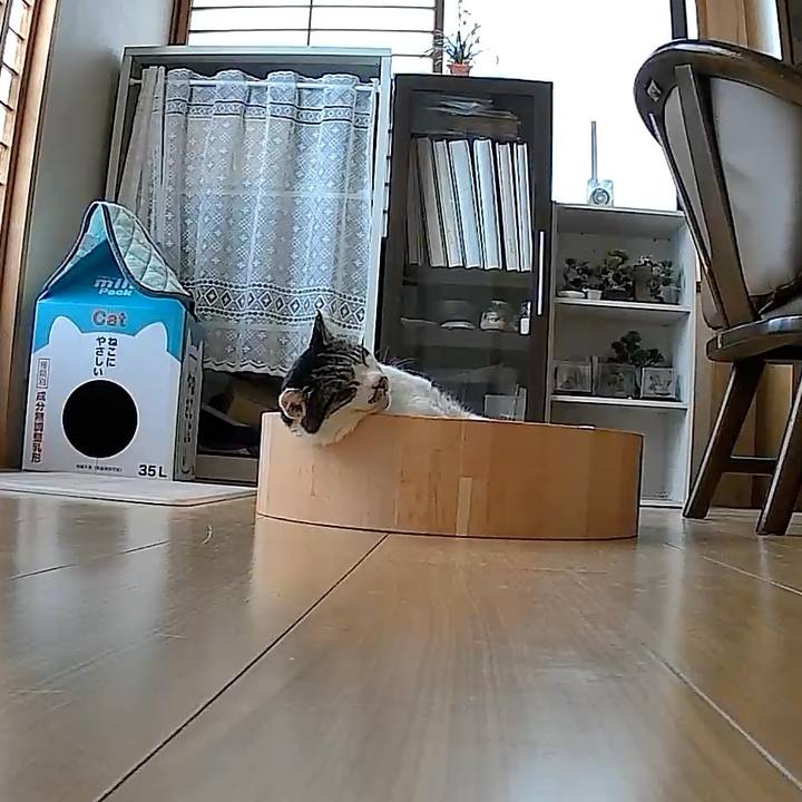 03fb5297 7547 4e74 bbc5 0dc4e3136f02 1754811134295