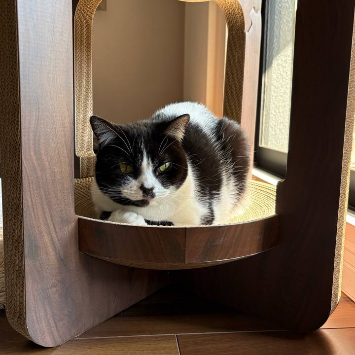 03fb80a3 6c20 4632 ba02 87d9d0a67ca3 1771733485985