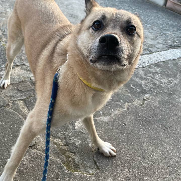 03fbfb64 7758 43e7 89c1 b95c751f13ca 1645446674886