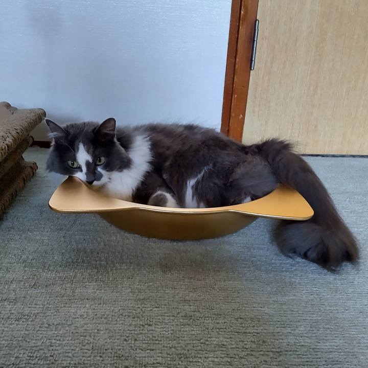 03fc07b7 e80f 486a b583 930c7e2ca58b 1656366626335