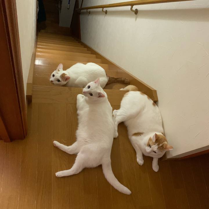 03fcb3b5 50dc 4684 ae96 b8299076263c 1569619611105