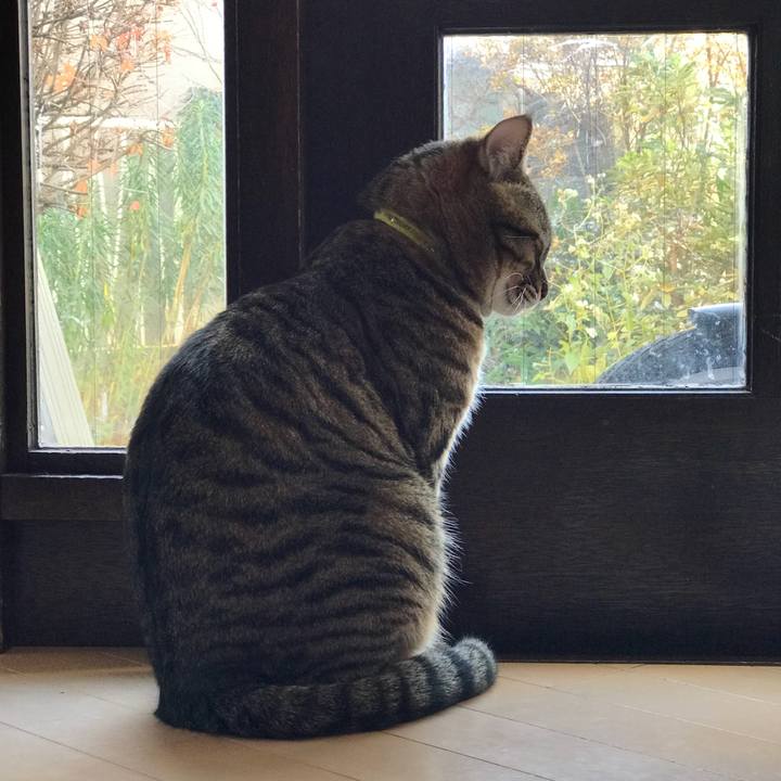 03fcf97c 12b1 4154 a035 495bd3fd262f 1513230083402