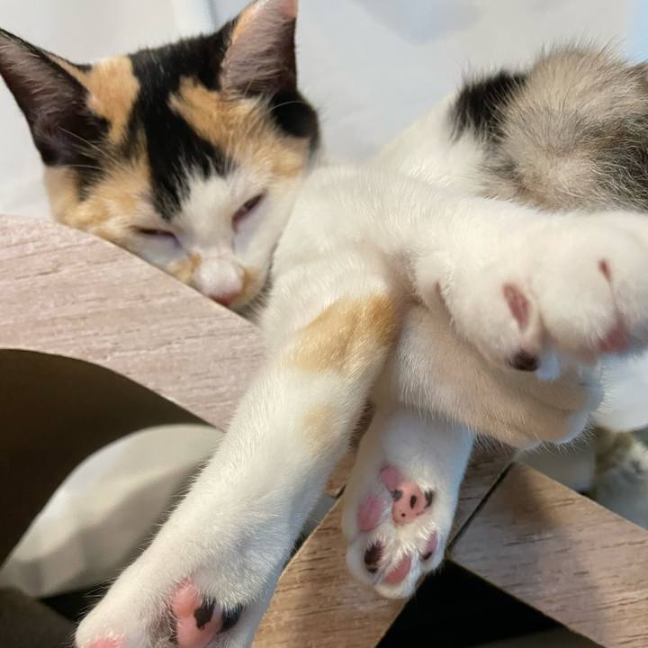 03fd231f e3ad 4dae 8218 3259416b783e 1669112062322