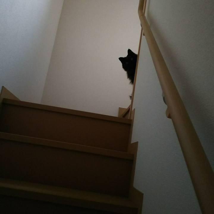 03fd7e92 e73c 49d1 a324 7d43d3838a25 1547939515366