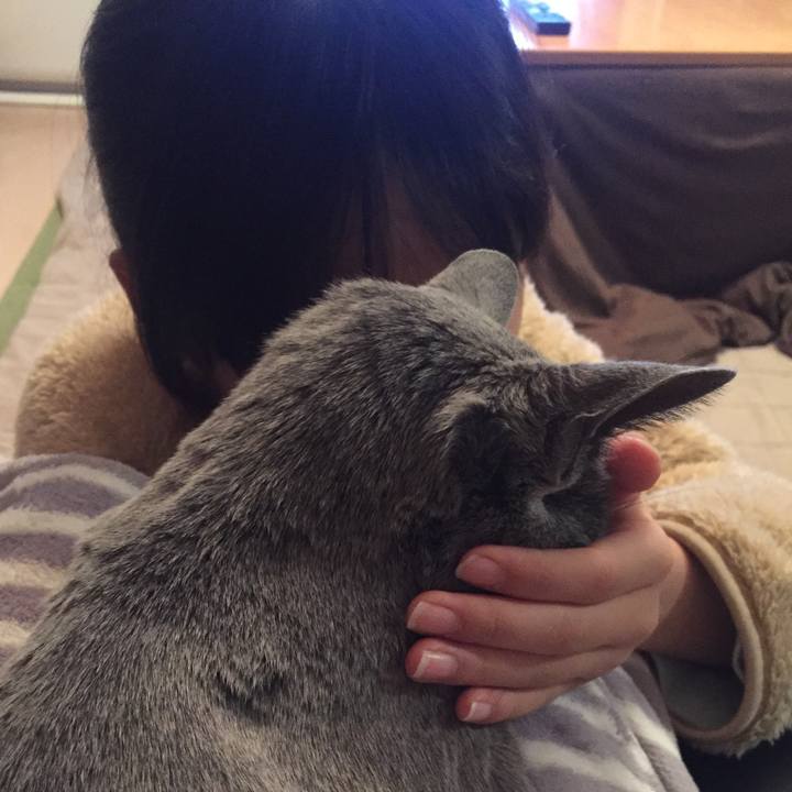 03fde77f 4c12 4bd3 b920 5e8893b2e7c2 1552345546952