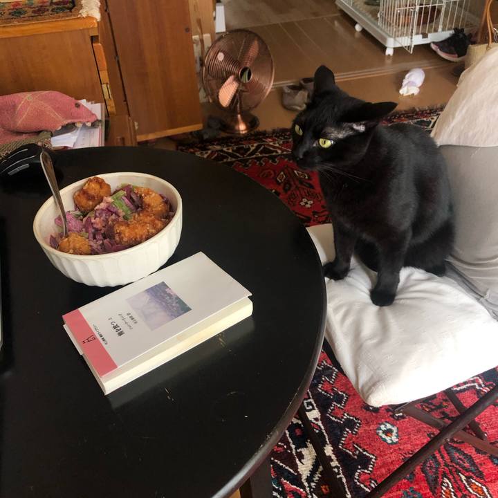 03fdf771 e9ce 4fd9 9d33 4491f083d67a 1596858375457