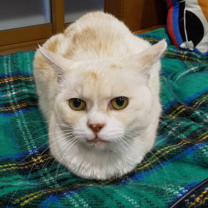 03fdf9f3 c148 4b30 bab1 13d1a073a547 1587388976832