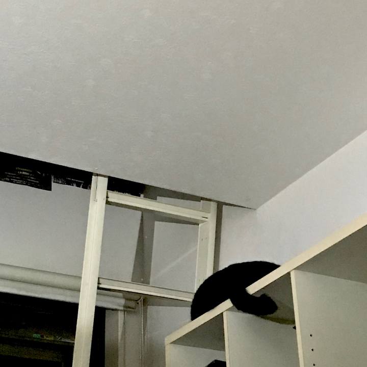 03fe6cd9 7721 4c37 bf39 ad6b09ad5285 1561654077872