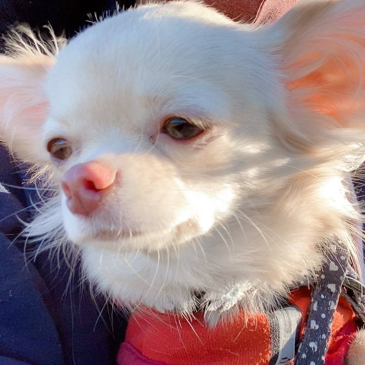 03fe9a19 0799 40e0 ae2c ff29e84a9513 1608189779955