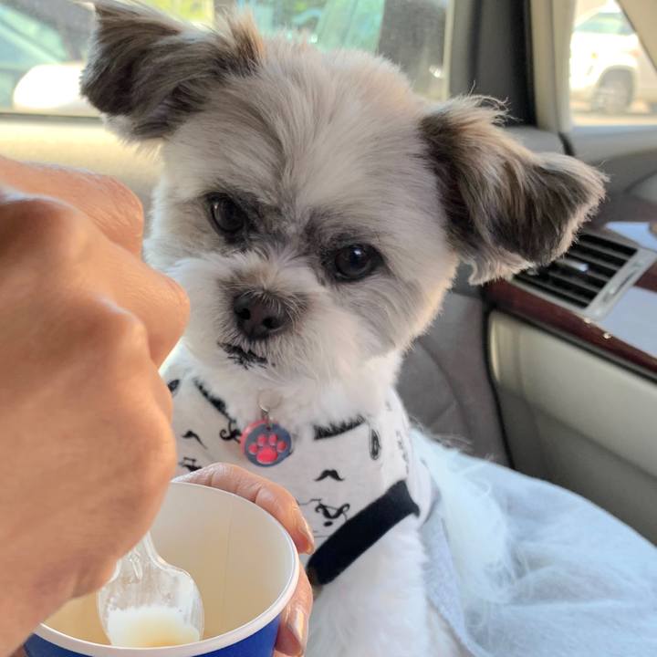 03fec15a fc8d 4658 bd54 c6299be1c954 1556449615304