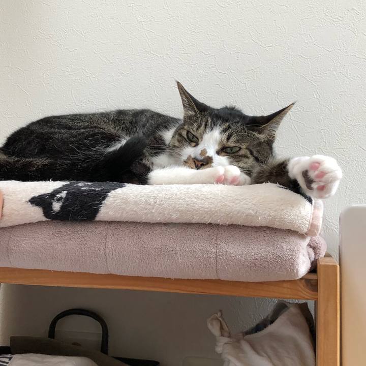 03ff0feb 8b1d 485b b823 a073498d9261 1525351826333