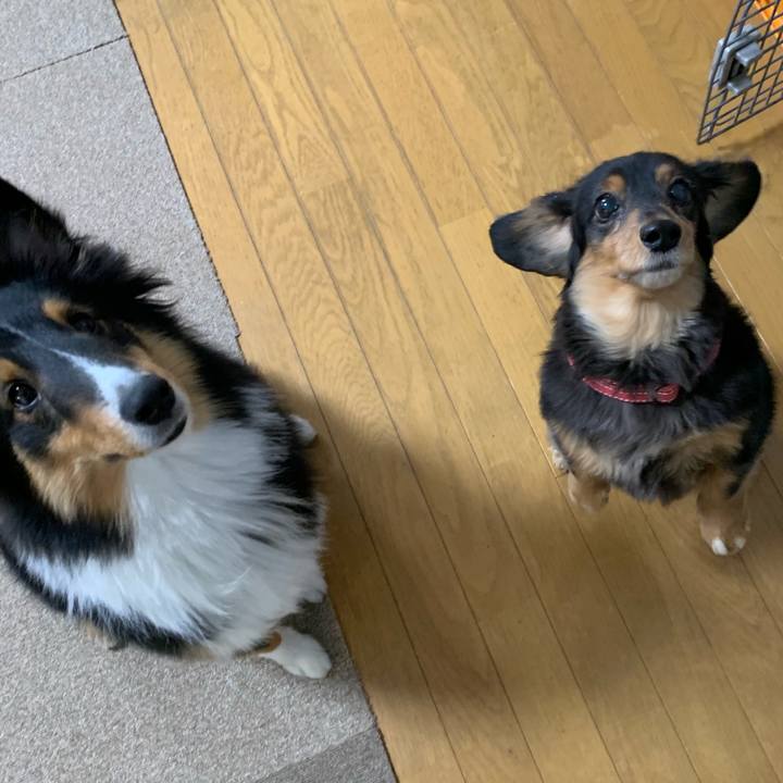 03ff2007 c49e 420f a863 f81c98b33c80 1546209209515