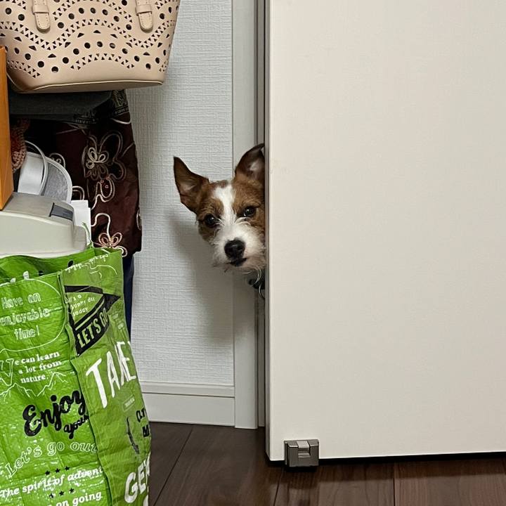 03ff29d4 9716 4d2d be99 61589bdae16d 1774439636681