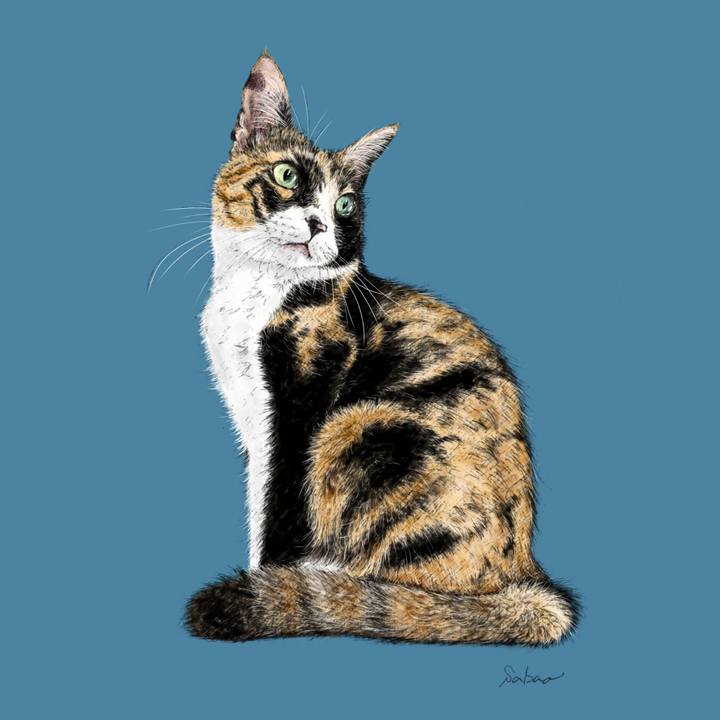 03ff3f3b 9065 46e0 ac11 39935dcaf1a8 1675555526086