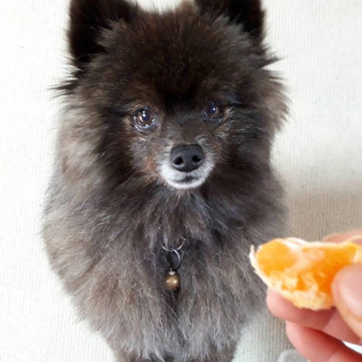 03ff66d2 be45 410b 97d9 8fcb153222ff 1520321539029