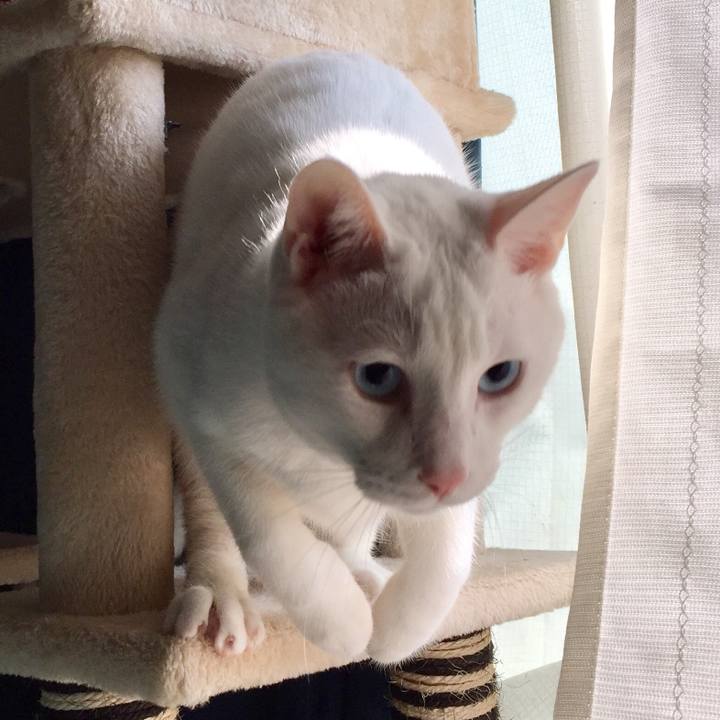 03ffaf13 8cdd 45ef 88cd 0983006d8bc8 1511183171230