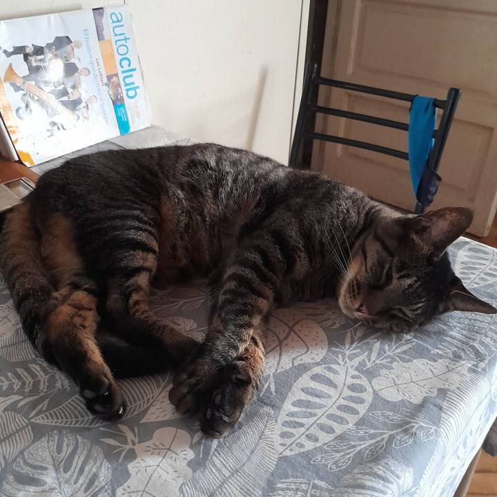 03ffb20d 71a7 4674 93e4 41d2b4db6418 1767059313642