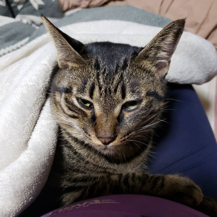 03ffb2dc 6fda 4d76 9c7b b824ca9a055e 1571743884203