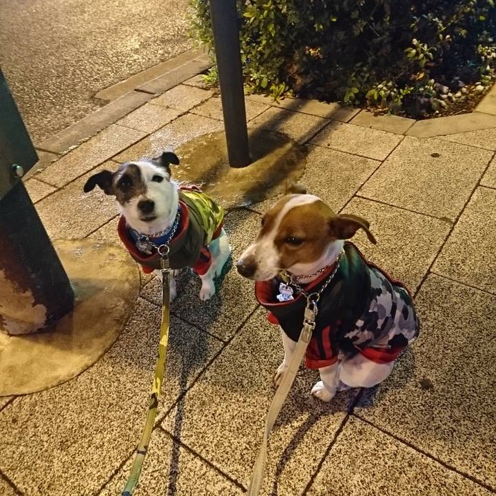 03ffe249 54eb 4aa4 9947 28aa0295209c 1549747304117