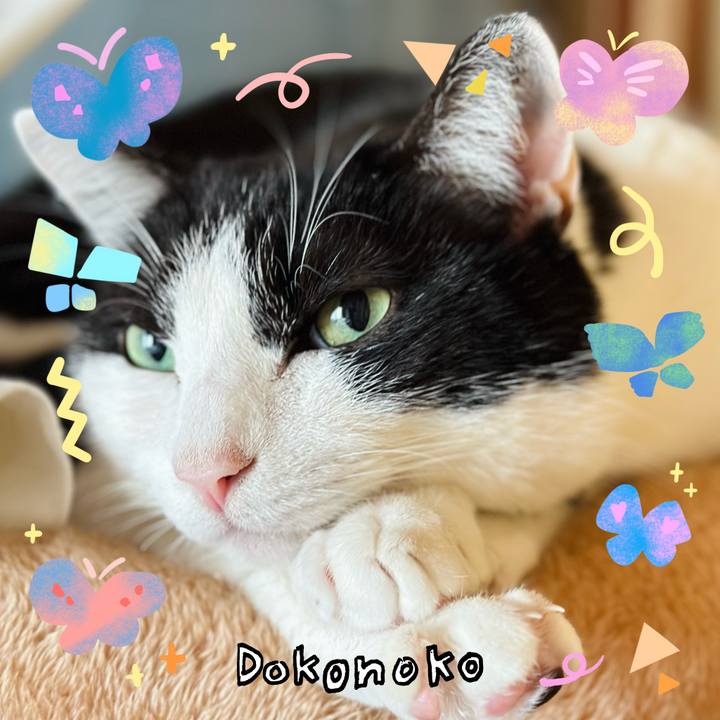 03ffe332 1a61 479b 8854 a358e1f89e9d 1711159826741