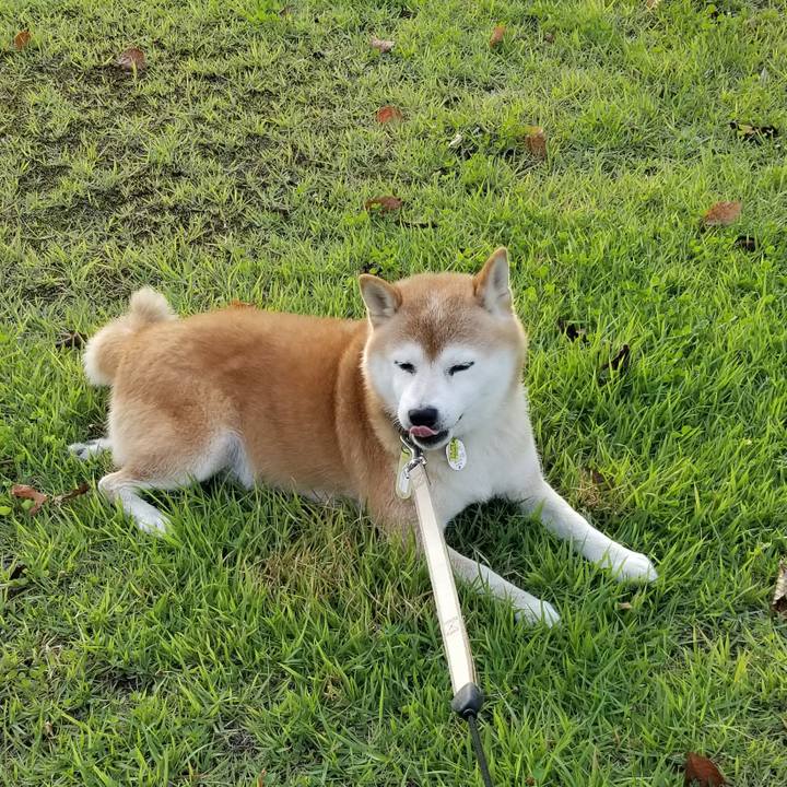 03ffe55b ce2f 4178 8081 32f6a0094e1c 1662969789032