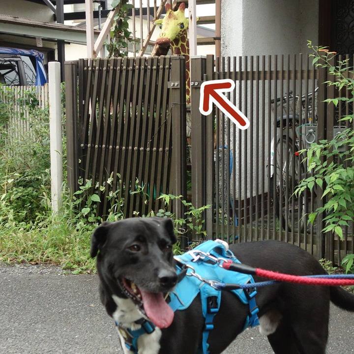 03ffecb8 a7e5 42c5 97ec c0a69a3940eb 1631406306838