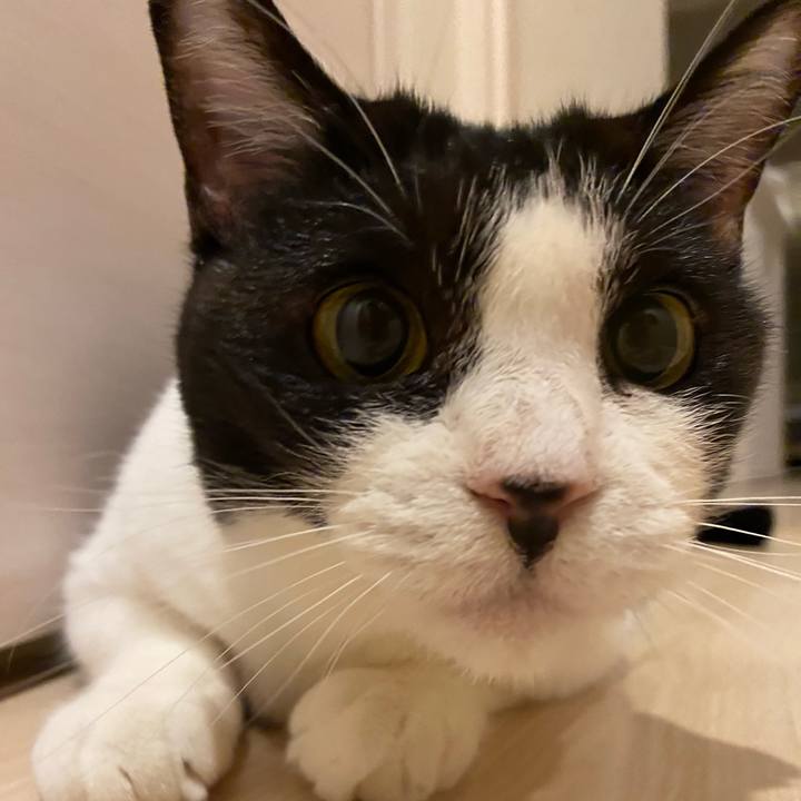 03ffff3f a85d 4589 8748 5f82e6c2f163 1723891521905