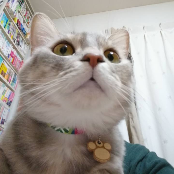 0400234c e1e0 42b3 8239 7087a50f96d0 1553690872643