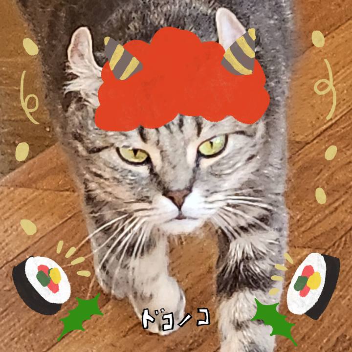 04002555 e9a8 4f2f a421 007f64440432 1706865268718