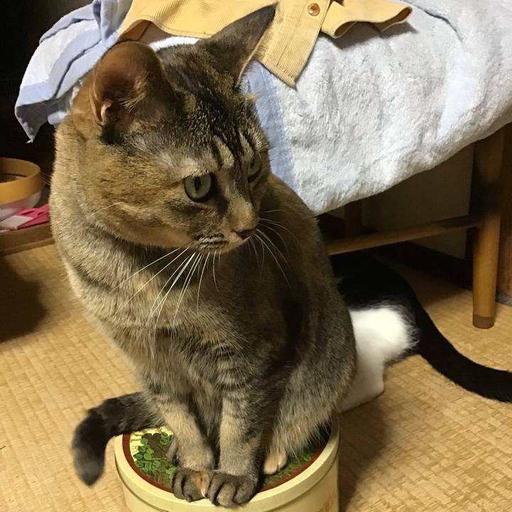 0400306d e368 48c3 9153 f769095b074b 1634982754532