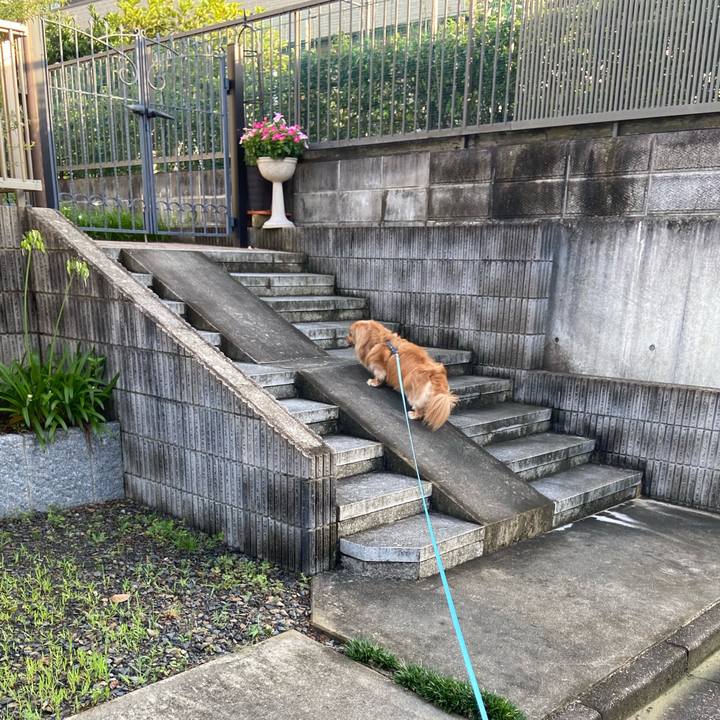 0400456d d905 4950 9f9f 76fe01eb16dc 1595974786053