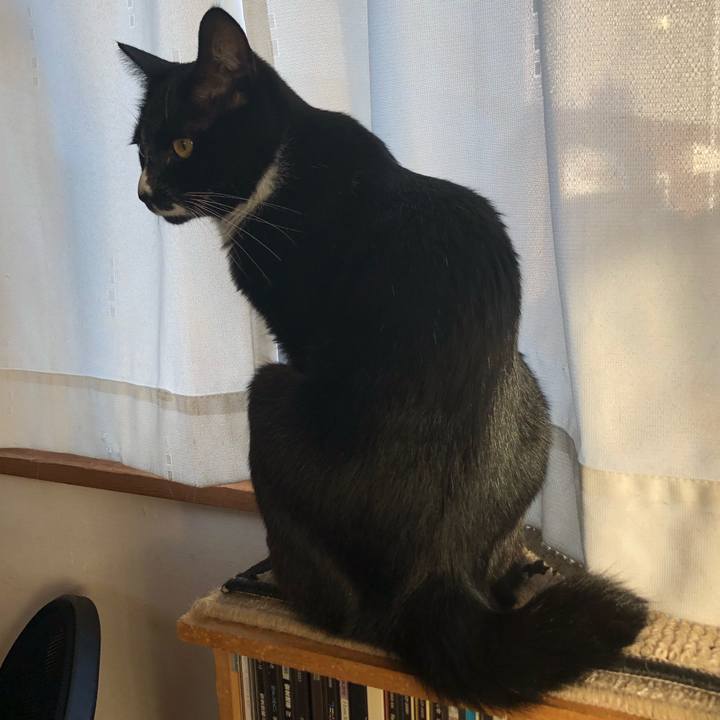 04008924 f490 4ad7 8495 2da364f64ed5 1633578424925