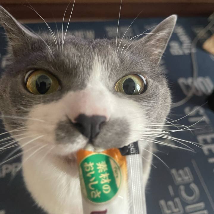 04009b59 60ba 4af6 a36d 9940f79c5bee 1714544165650