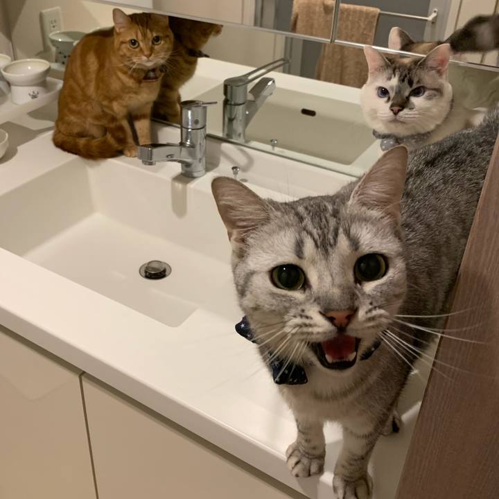 04009e76 617d 4cd7 a2c9 f995b10a26b9 1590897696416