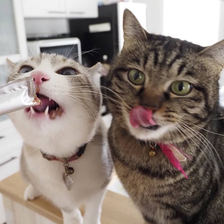 0400a2a7 f0d4 4a39 9586 dce0c711b7d1 1615729933188