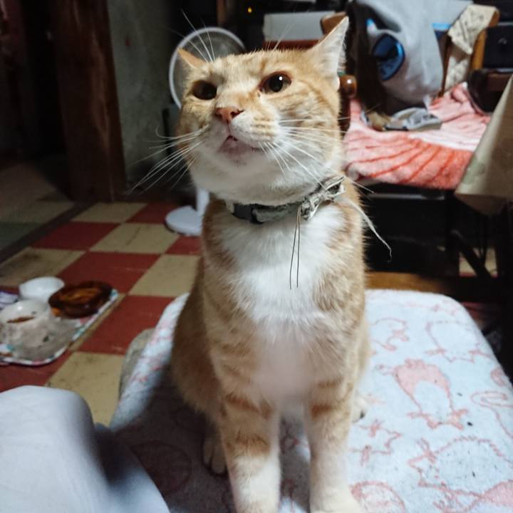 0400a8e7 c0f6 45ad bf97 4adccfb96197 1593373004826