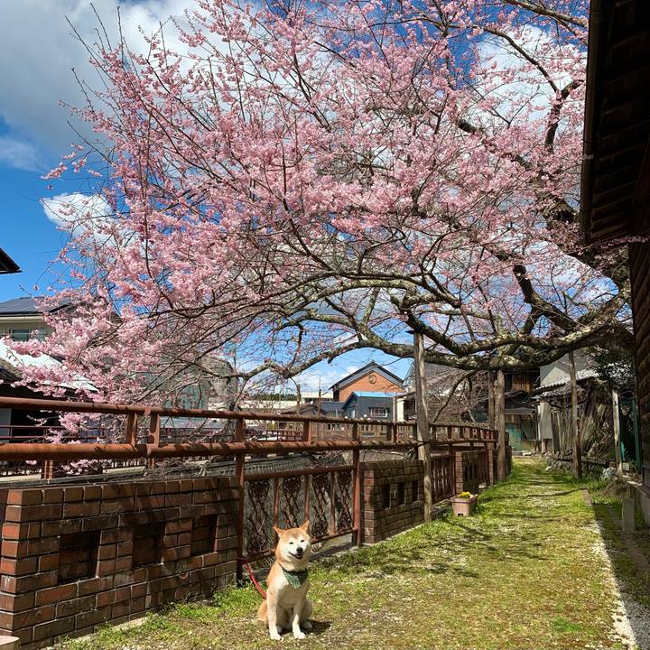 0400bd3e 3daf 4a69 9d84 60f1a521e754 1649068526308