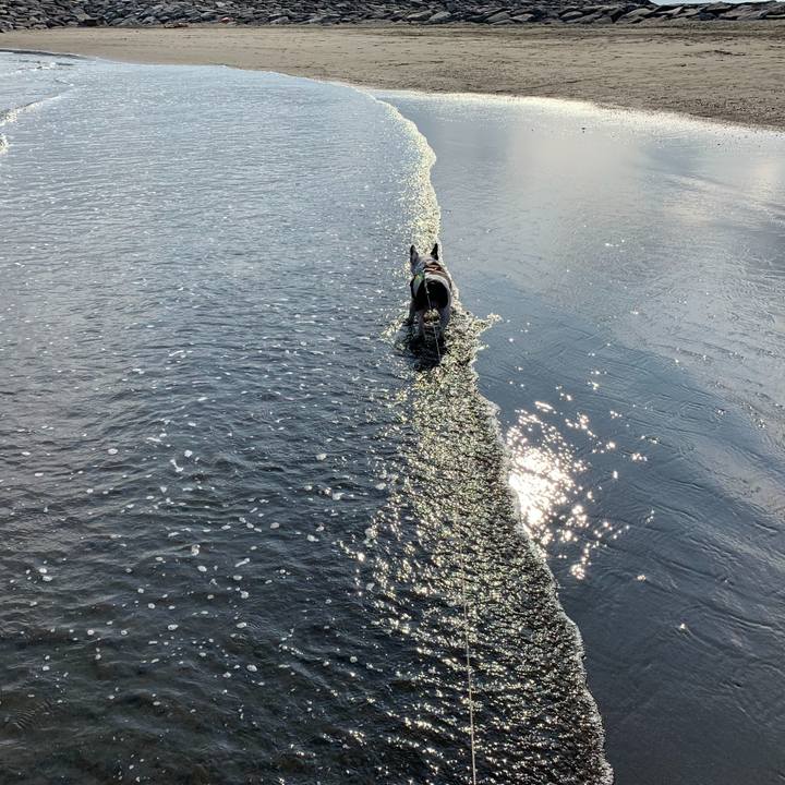 0400cc85 333f 454c af76 41d901a64ce8 1569844838545