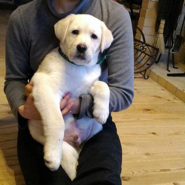 0400f34a 54ef 439e 95c9 e36faa652cdb 1527775977789