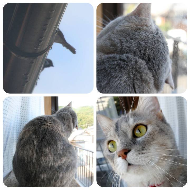 0400fd87 acef 4f60 a44e 3a30ed1e62ef 1537501056893