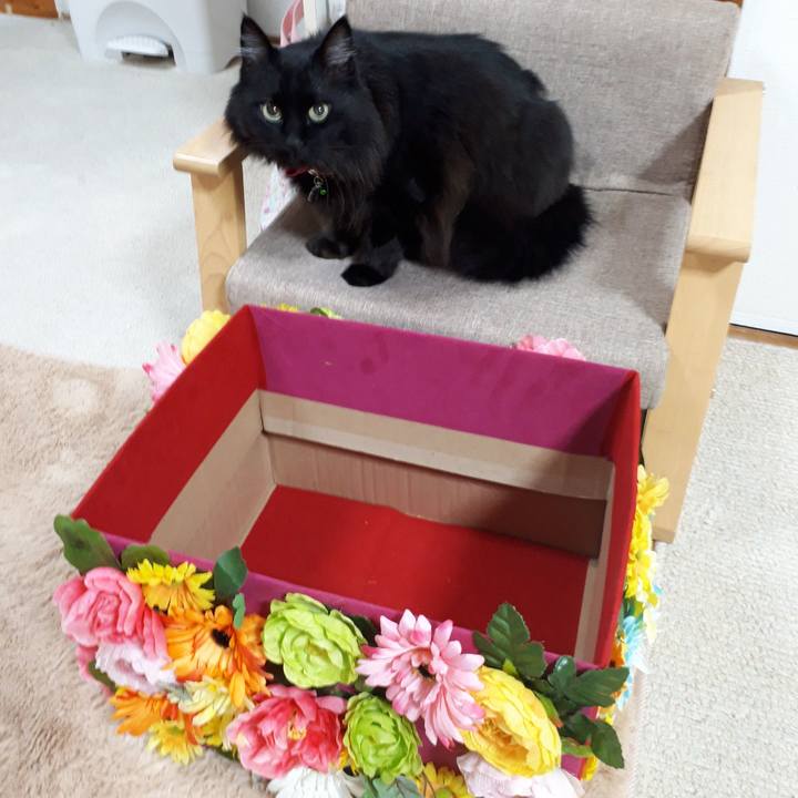 0400fe53 f1c5 4ad6 bb0b 7208d84a4ba8 1517519300705