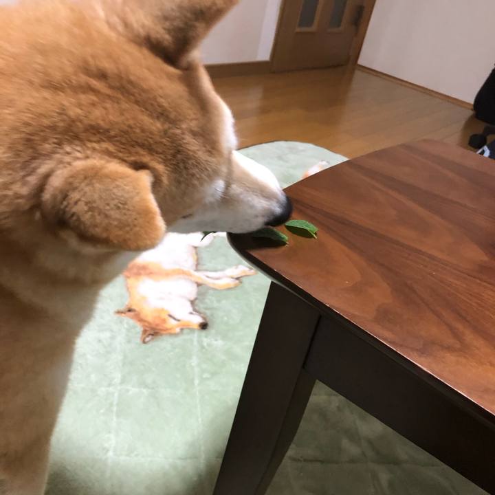 0401015f dd2c 4c39 b792 937236dce514 1607583996225