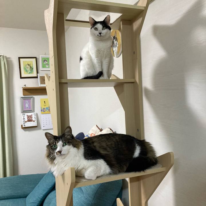 040154cb 4c58 4885 a613 d85fdafbff7a 1769692349002