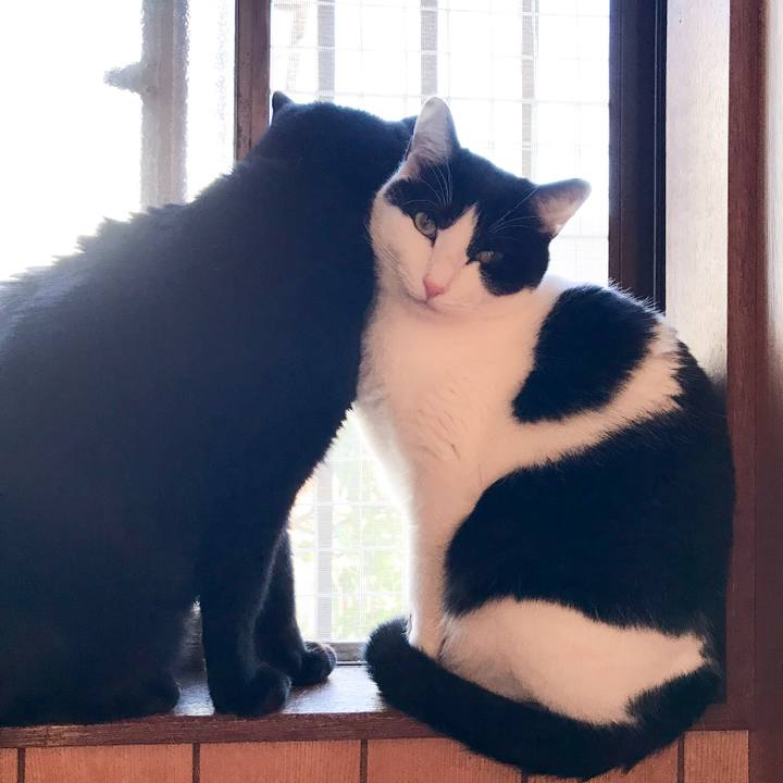 04015d6f fe94 4669 bb89 b5621d6534e8 1519220596056