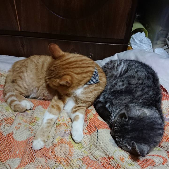 04017678 eef9 4014 bf3c 751cffde6627 1573043391615