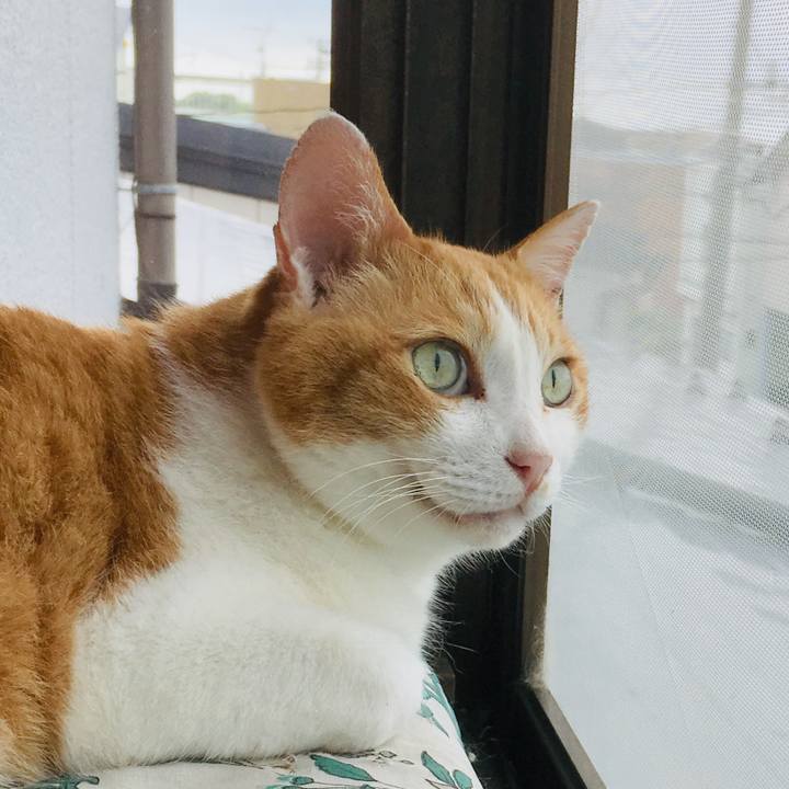 04017a51 327a 42cf 8d8c b98b1ccf2b8f 1563955206628