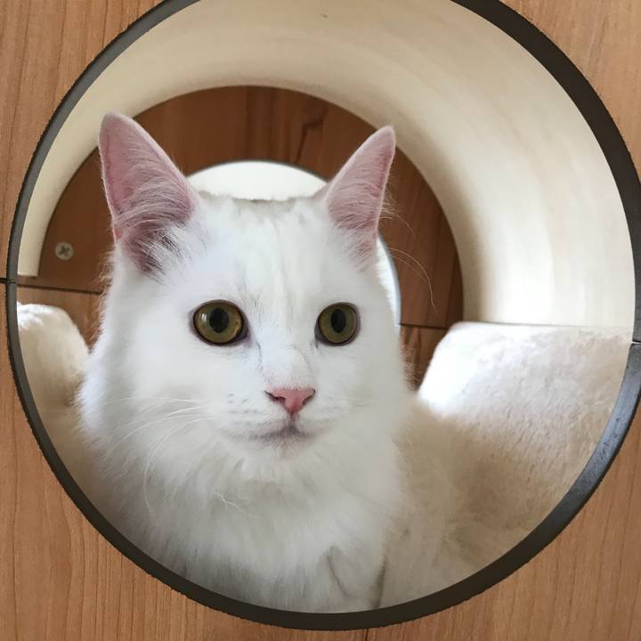 04019013 dd8c 46dd 86cc 046677b23327 1524179225784